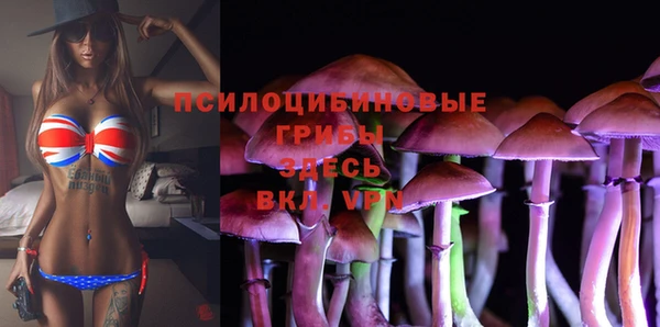 таблы Бородино
