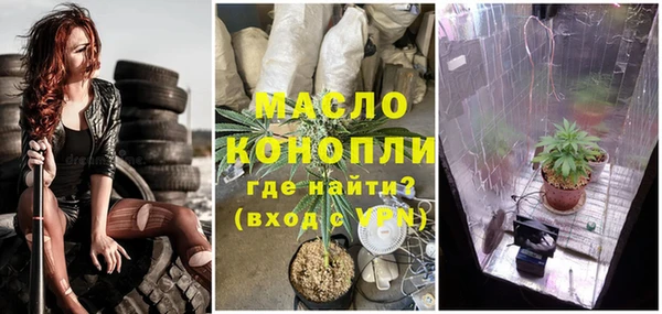 мдпв Богородск