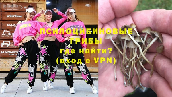 таблы Бородино