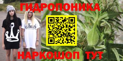 прущие крисы Малгобек